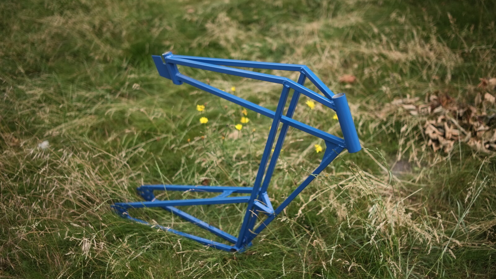 RF01 frame